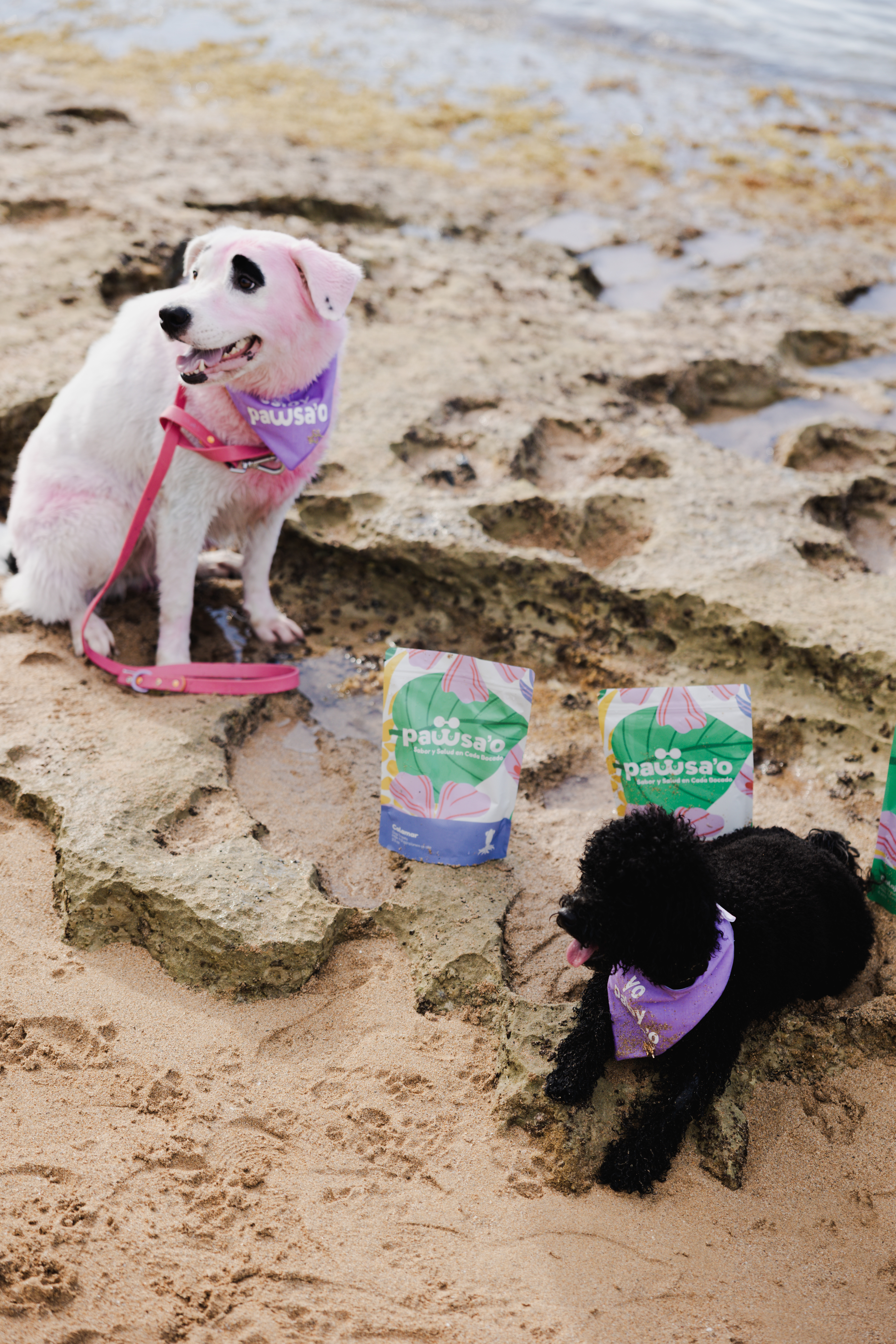 Pawsa'o Beach Hero